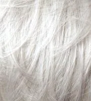 Silver Mink