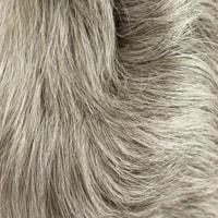 51 (Dark Grey)