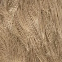 32 (Dark Auburn)