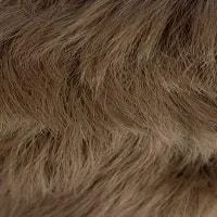 12 (Light Brown)