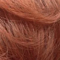 Chestnut (121/30BT)