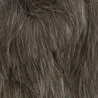 320 (Colour 3 + 20% Grey)