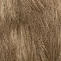 20 (Dark Blonde)