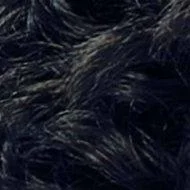 Midnight (1B)