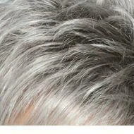 Soft Silvery Moon (SF51/60)