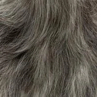 446 (Charcoal Grey)