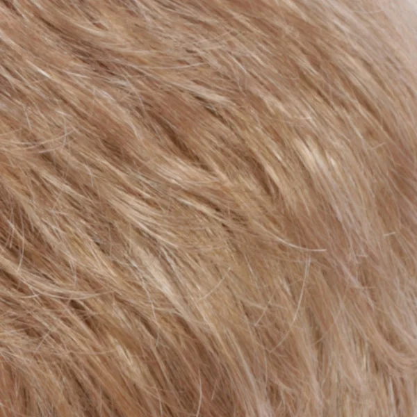R20F | Light Auburn/Golden Blonde Frostd