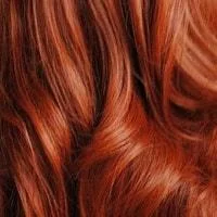 Mahogany Dream