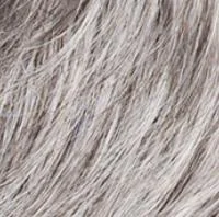 51 (Silver Grey)