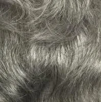 Platinum Grey (51G)