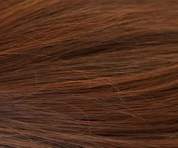 Chestnut (One Remaining)