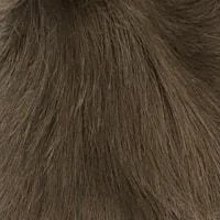 3 (Dark Brown)