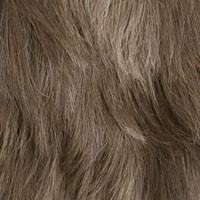 610 (Colour 6 + 10% Grey)