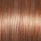 SS29/33 Shadow Shaded Iced Pumpkin Spice