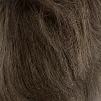5 (Medium Brown)
