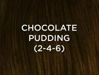 Chocolate Pudding (2/4/6/HH)